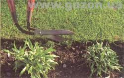 Подравнивание краев газона